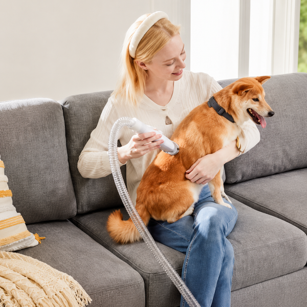 Pet Grooming Vacuum Kit – 2.5L Large Dust Cup